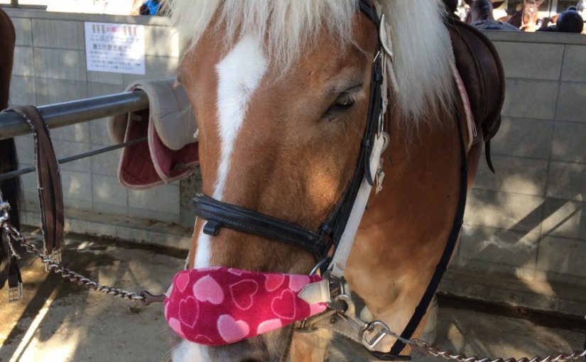 つい、やってしまうんです…