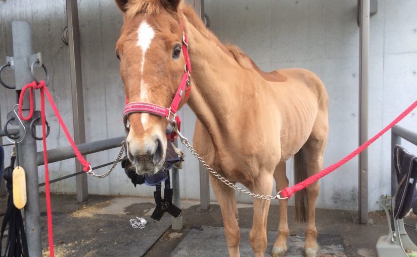 すっきりイメチェン★