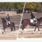 ステップアップテスト