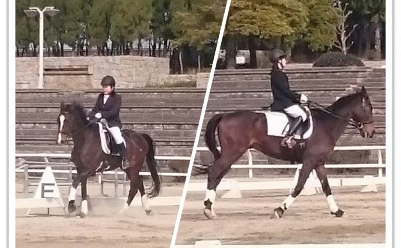 ステップアップテスト