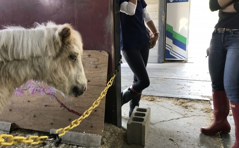 うとうと。。。