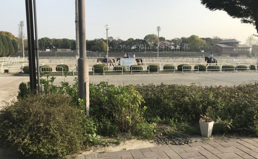 E3B8C8BA-1AB0-4137-824C-8CD9BE1DC45F