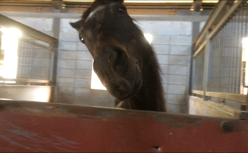 そんなんえぇから！