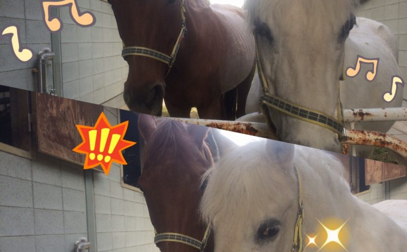 センター争い…？？