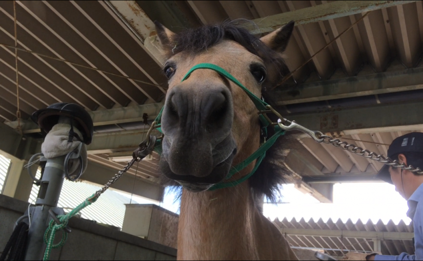 あ～そこそこ…♪