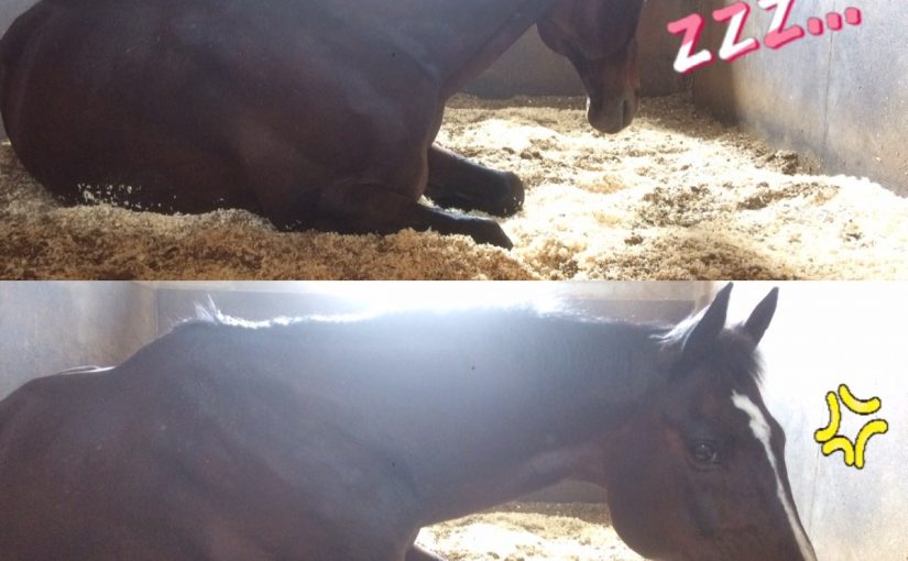 邪魔すんなっ！