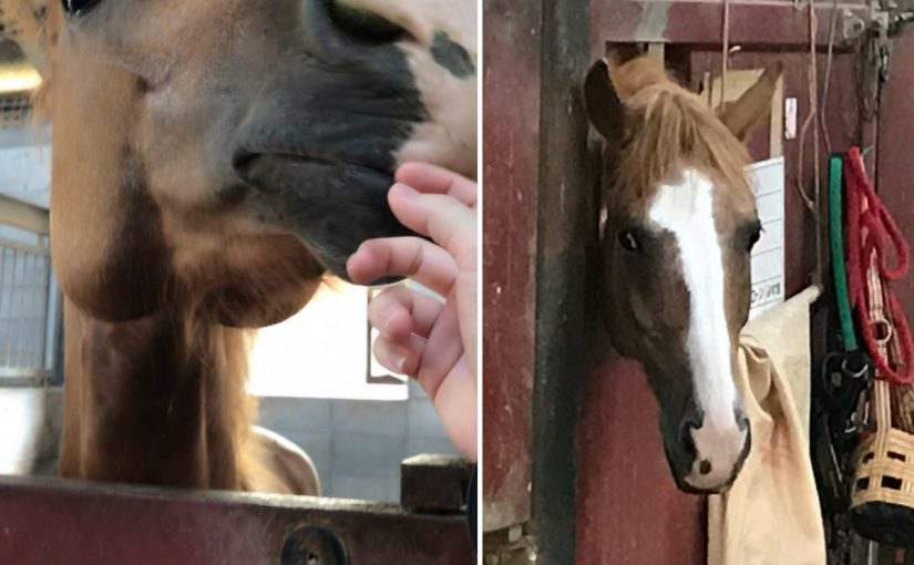 8A551E28-ACBF-4BEE-A7B6-58CA92782519