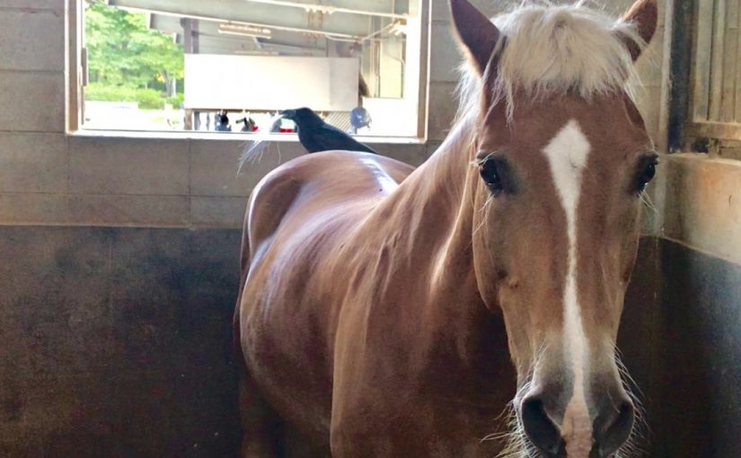 B9049C16-20E3-47D1-A534-7083315E93AF