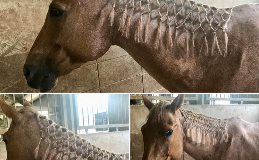 女子力UP↑↑💕