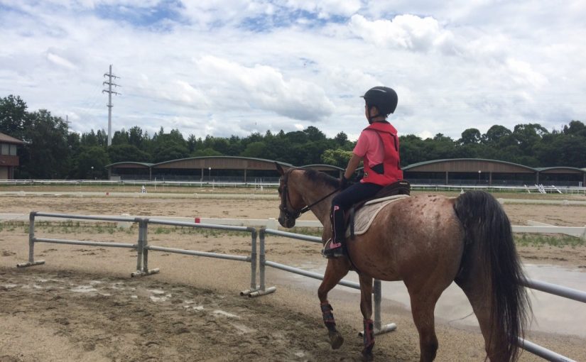 お久しぶりの、青空。