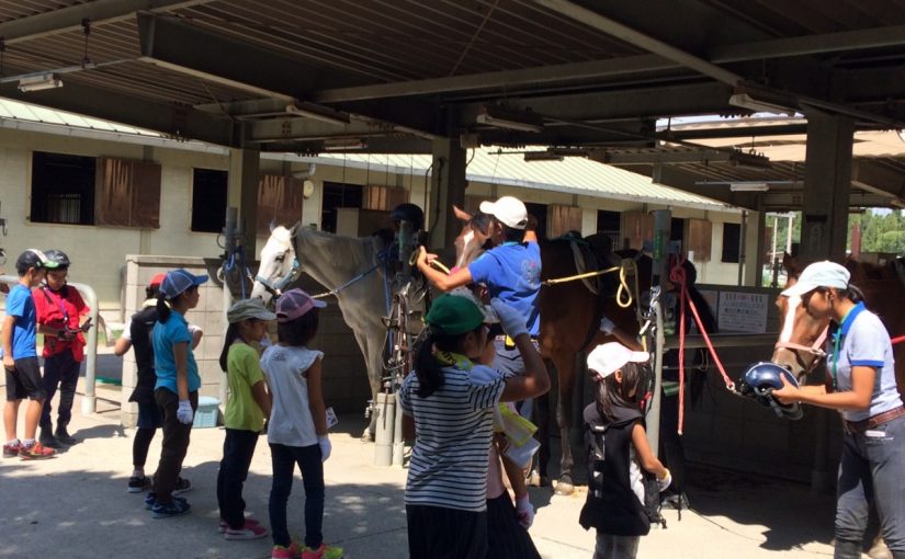 うまうまキャンプ