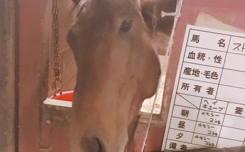 4F07D0D0-36C8-444A-83D8-DD2D10ED54B5