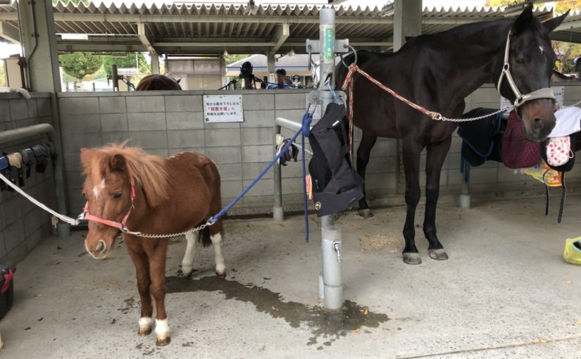 77CBD82F-582B-42DF-8F24-01E8FD553C31