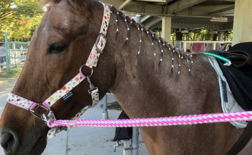 オシャレさん♪