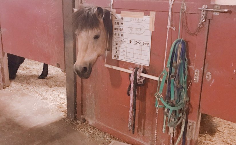 癒される～(*´Д｀)