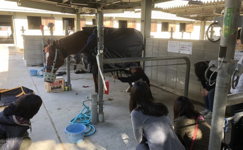 EE9B8065-6B14-4463-BB3B-25DE2393FB11